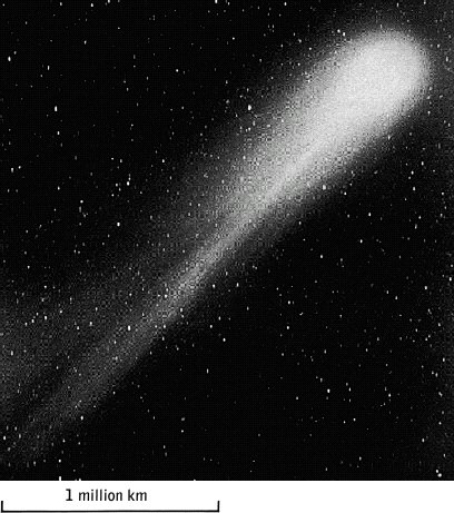 Halley's comet, seen during