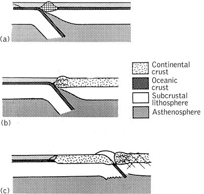 convergent plate boundaries. convergent boundary is