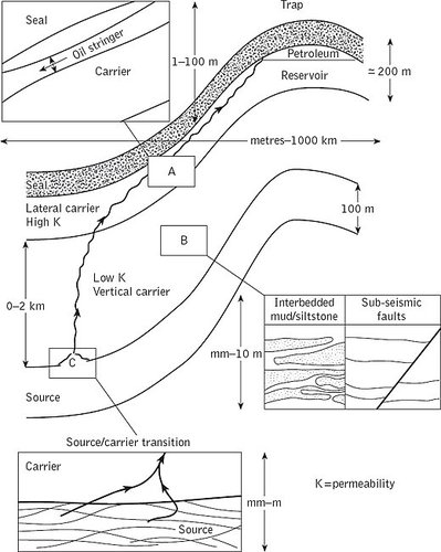 a petroleum system consists of a source rock containing organic matter (kerogen)