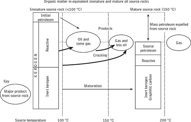 maturation converts immature organic matter