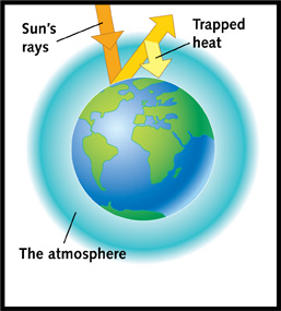 Food from the Sun