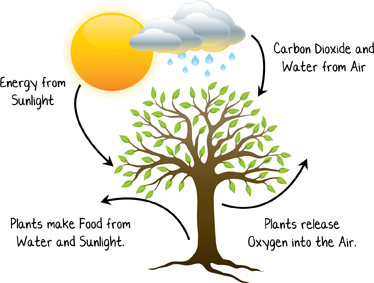 Solar Energy