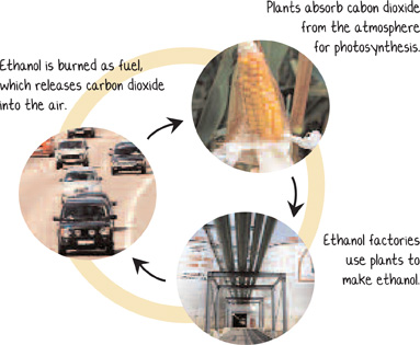 Biofuels