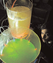 Biofuels