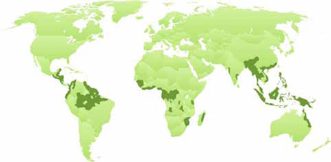 Our Footprint on Earth
