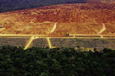 Our Footprint on Earth