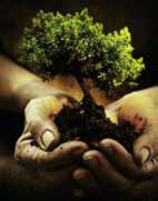 Our Footprint on Earth