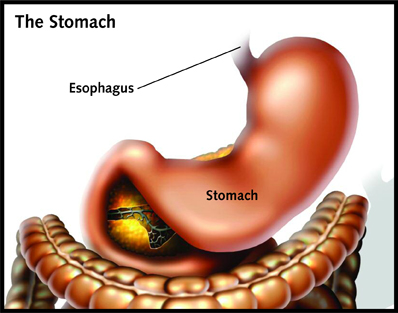 Enjoy Your Meal