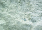Geology