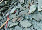 Geology