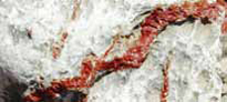 Rocks, Minerals and Soil