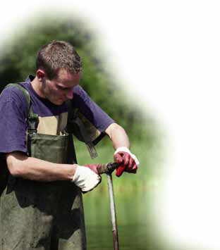 Using Scientific Tools