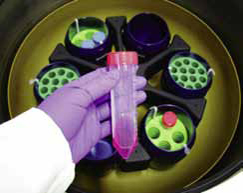 Using Scientific Tools