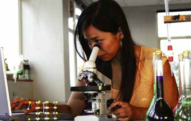 Using Scientific Tools