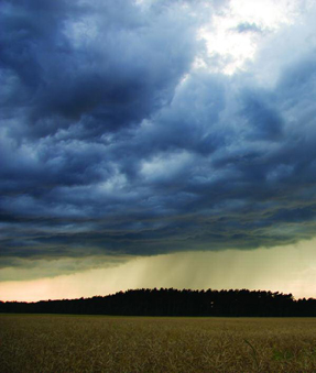 Weather