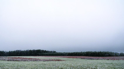 Weather