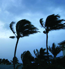 Weather