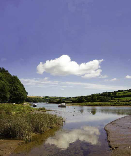 Restoring Wetlands