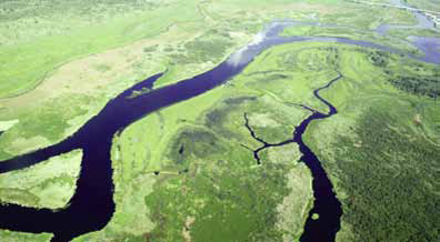 Restoring Wetlands