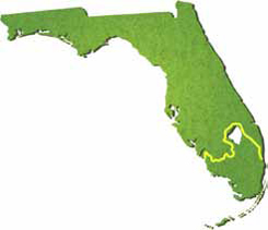 Restoring Wetlands