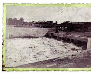 Restoring Wetlands