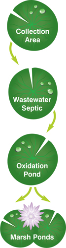 Restoring Wetlands
