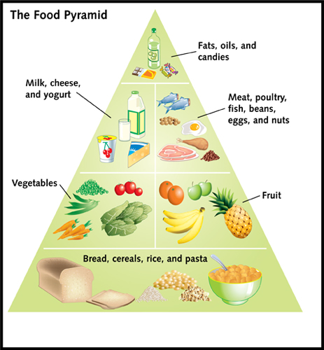 WHY DO I NEED FOOD? - How Much Food Do I Need?, What Is a Balanced Diet ...