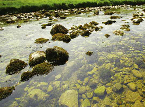 Rocks, Minerals and Soil